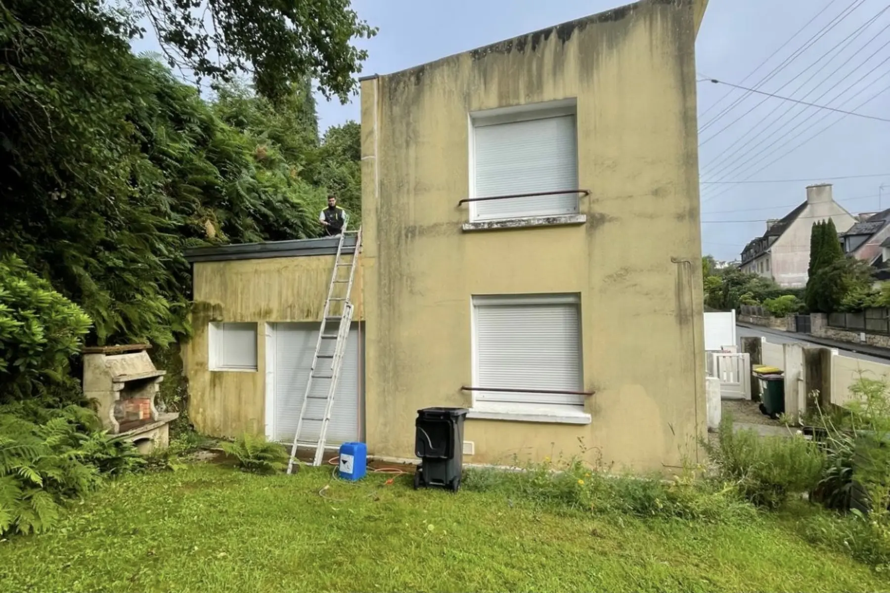Traitement d'une façade verdie — Avant